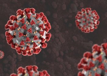 Coronavirus cases Update