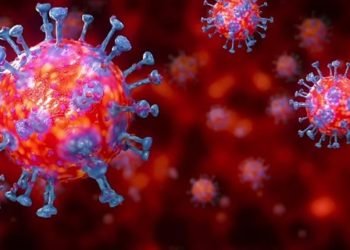 coronavirus update