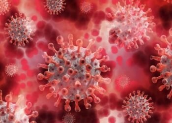 Coronavirus Update