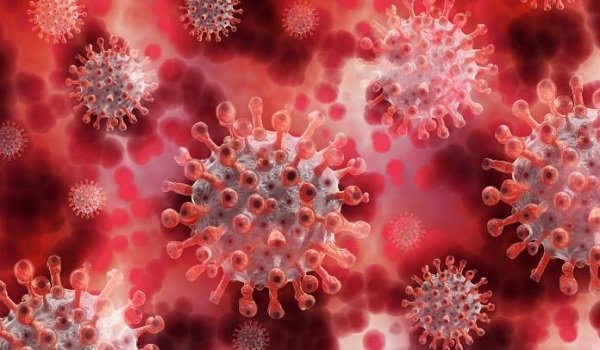 Coronavirus Update