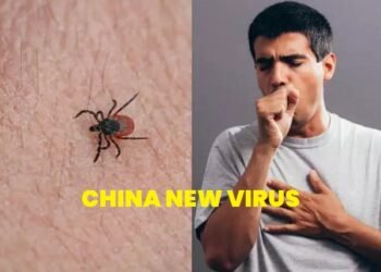 China New Virus