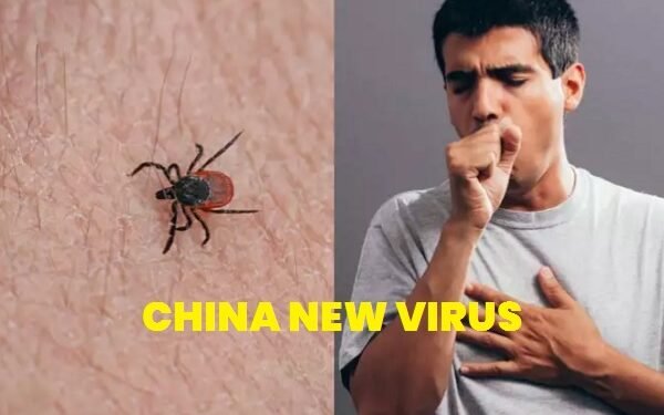 China New Virus