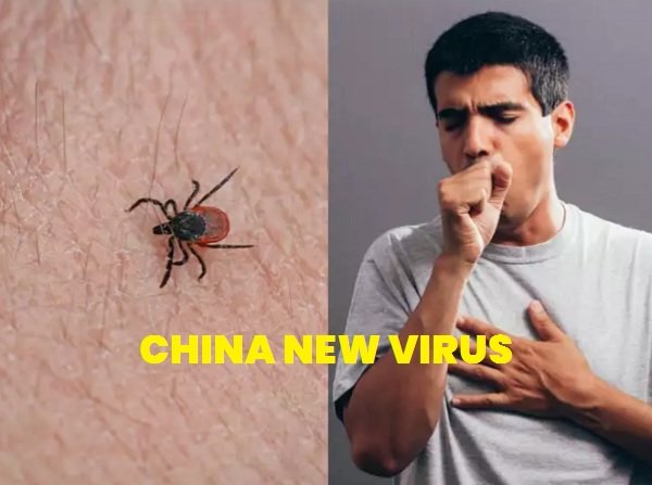 China New Virus