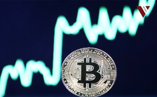 Cryptocurrency market crashed cost of bitcoin also went down