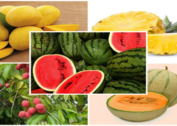 summer fruits, fruits benefits, mango, lichi, ananas, watermelon, summer fruit choice, summer fal, समर फल, गर्मी फल, फल