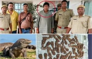 🐊 रांची: मॉनिटर लिजार्ड तस्करी केस में भाजपा नेता को बड़ी राहत, मिली जमानत