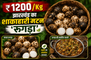Rugda, Rugda Mushroom, Jharkhand Rugda, Vegetarian Mutton, Vegetarian Chicken, Jharkhand News, Ranchi News, Wild Mushroom, Forest Food, GI Tag, Putu, Putu Mushroom, Monsoon Vegetable, The Varta, India Food, Jharkhand Food, रुगड़ा, Rugda, Putu, Vegetarian Mutton, Vegetarian Chicken, Jharkhand News, Ranchi News, Forest Produce, Wild Mushroom, Monsoon Special, GI Tag, Tribal Food, Organic Food, Healthy Food, Sal Forest, Jharkhand Forest, Local Food, Traditional Food, Mushroom, Seasonal Vegetable