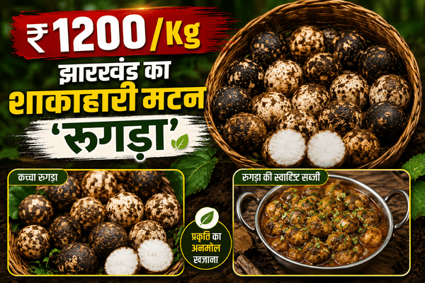 Rugda, Rugda Mushroom, Jharkhand Rugda, Vegetarian Mutton, Vegetarian Chicken, Jharkhand News, Ranchi News, Wild Mushroom, Forest Food, GI Tag, Putu, Putu Mushroom, Monsoon Vegetable, The Varta, India Food, Jharkhand Food, रुगड़ा, Rugda, Putu, Vegetarian Mutton, Vegetarian Chicken, Jharkhand News, Ranchi News, Forest Produce, Wild Mushroom, Monsoon Special, GI Tag, Tribal Food, Organic Food, Healthy Food, Sal Forest, Jharkhand Forest, Local Food, Traditional Food, Mushroom, Seasonal Vegetable